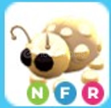 NFR Golden Ladybug (EN UCUZU)