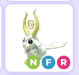 NFR GOLDHORN 