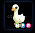 NFR GOOSE