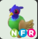 NFR Green Chested Pheasant ⭐ Adopt Me