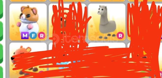 mfr hamster + ride Llama mfr hamster + ride Llama