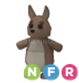 nfr kangaroo