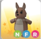Nfr Kangaroo