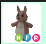  Nfr kangaroo