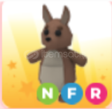 NFR Kangaroo