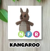 NFR Kangaroo