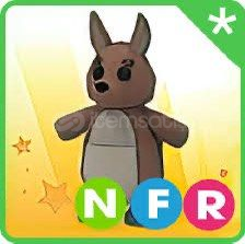 NFR Kangaroo NFR Kangaroo