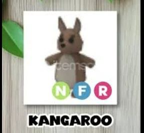NFR Kangaroo - Adopt Me NFR Kangaroo - Adopt Me