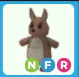 NFR KANGAROO/ADOPT ME