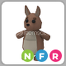 NFR Kangaroo Adopt Me (En Ucuza)