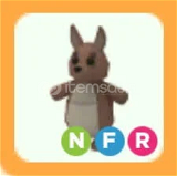NFR Kangaroo En Ucuzu!