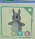 Nfr kangaroo en uygunu