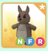 Nfr Kanguru