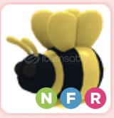 NFR KİNG BEE | HIZLI TESLİMAT