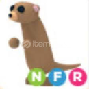 Nfr meerkat 25 value