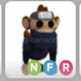 NFR NİNJA MONKEY