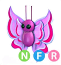 NFR Orchid Butterfly
