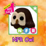 NFR Owl