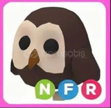 NFR OWL