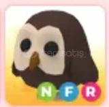 NFR OWL( ride pot+fly pot hediye)