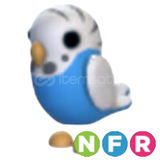 NFR Parakeet | Adopt Me