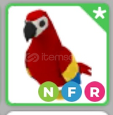 NFR PARROT (UCUZ)!