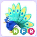 NFR PEACOCK 140TL (EN UCUZA)