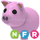 NFR Pig
