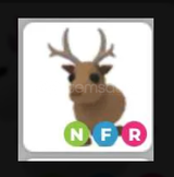 NFR RAİNDEER EN UYGUN FİYATA