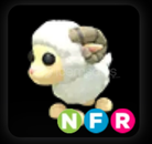 NFR RAM