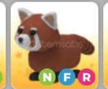 NFR Red Panda NFR Red Panda