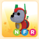 NFR robbo dog