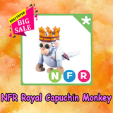 Nfr royal capuchin monkey