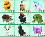 NFR SAAĞĞLAM PETLERDEN ADOPT ME