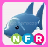 NFR SHARK