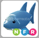 NFR SHARK