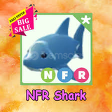 NFR Shark - Adopt Me