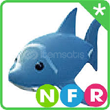 Neon Fly Ride (NFR) shark