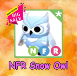 NFR SNOW OWL 