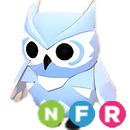 NFR Snow Owl