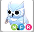 NFR Snow owl! NFR Snow owl!