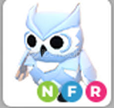 NFR Snow owl! NFR Snow owl!