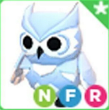 NFR SNOW OWL 