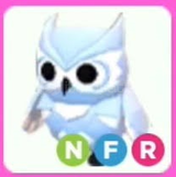 NFR SNOW OWL