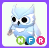 NFR Snow Owl Adopt Me