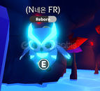 Nfr Snow owl ( EN UCUZU ) Nfr Snow owl ( EN UCUZU )