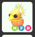 Nfr Sunrise Duckling En ucuz