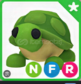 NFR TURTLE 