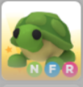 NFR turtle