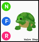 NFR Turtle